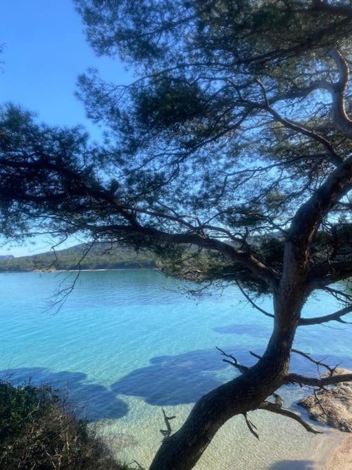 Ile De Porquerolles : T3 Climatise Vue Mer Екстер'єр фото