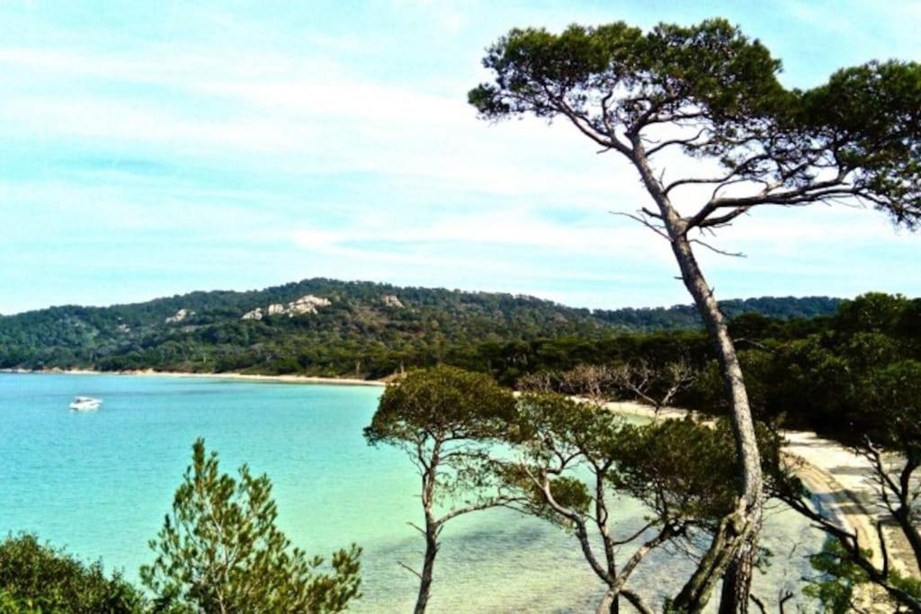Ile De Porquerolles : T3 Climatise Vue Mer Екстер'єр фото